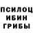 Псилоцибиновые грибы Psilocybine cubensis Erhan Galaxy