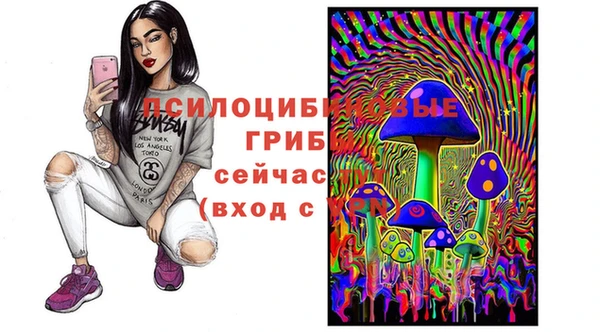 МДПВ Арсеньев