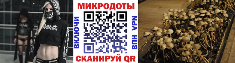 Галлюциногенные грибы прущие грибы Пучеж