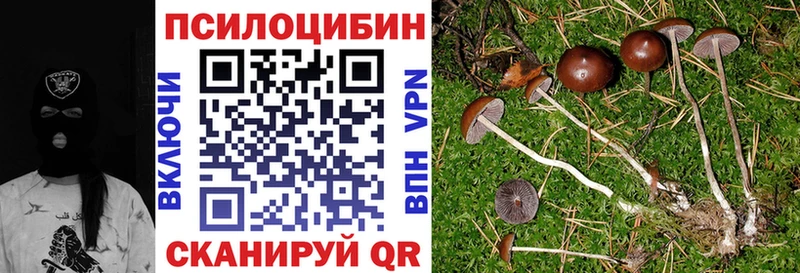 Псилоцибиновые грибы MAGIC MUSHROOMS  Пучеж 